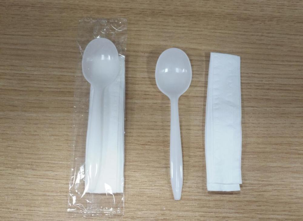 Disposable Throw Away Spoon