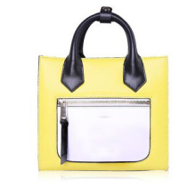 Farbe Kombination Mode Dame Handbag (WZX23435)