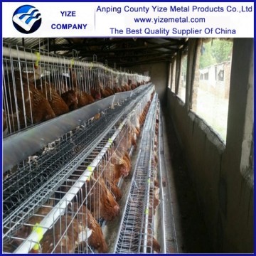 96, 120,128,160 birds/set chicken cage 128bird chicken layer coop