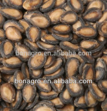 2014 black watermelon seeds