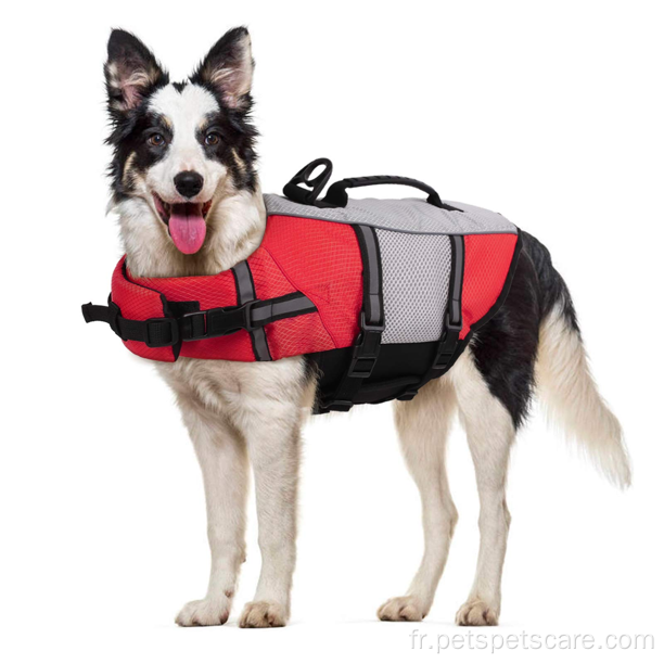 Veste pour chiens gilet de vie pour la piscine