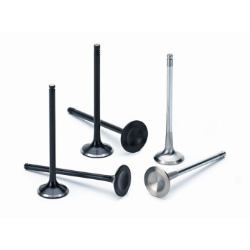 KIA RIO ?Type Automobile Engine Valve