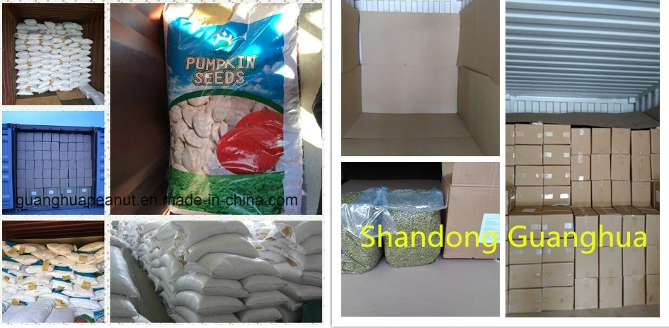 New Crop Good Quality Snow White Pumpkin Seeds Kernels