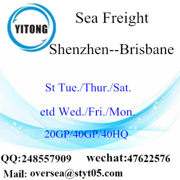 Shenzhen Port Zeevracht Verzending naar Brisbane