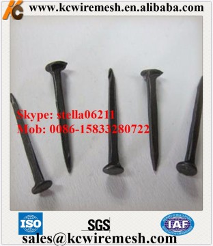 Cheap!!!!!!! KangChen Square rod shoe tack with yellow blue box