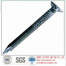 flat head with grooved alvanized concrete nails(cement nails)