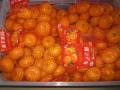 Fob shenzhen Nanfeng baby mandarin