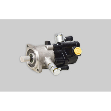 ZXZDB series steering brake compound pump