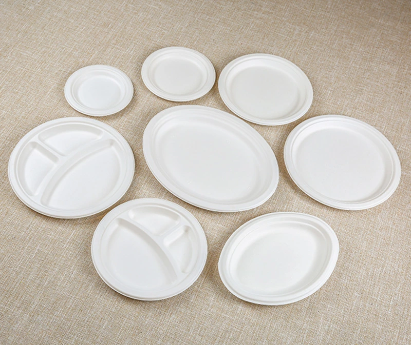 100% Biodegradable Eco-Friendly Sugarcane Bagasse Disposable 10'' Round Plate