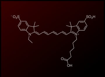 Sulfo-Cyanine7 carboxylic acid