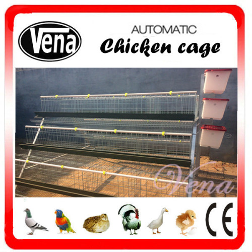 Layer Chicken Cage for Poultry Farming
