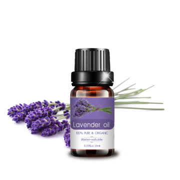 Lavanda a quente lavanda Pure Essential Oil Bulk para aromaterapia