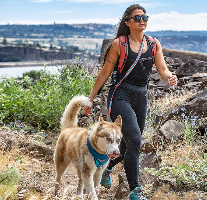 6 in 1 Hands Free Dog Leash