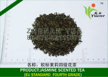 4th grade jasmine tea green tea sliming tea