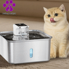 FT802 Automatic Water Dispenser for Pets