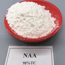Rooting Hormone 1-Naphthaleneacetic acid (NAA)