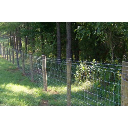 Kilang Galvanized Farm Fence 4 Kaki Rusa Pagar