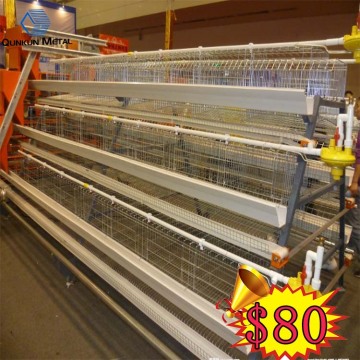 Professional 160 broiler battery cage