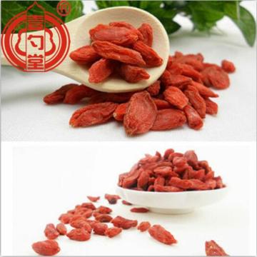 Buah Goji Berries Non Organik godaan rendah