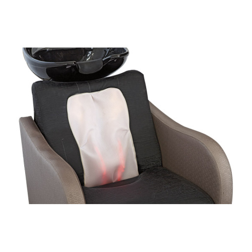 Massage Salon Backwash Chair