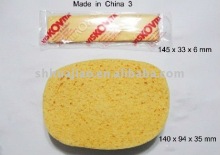 Viskovita Compressed Printing Sponge