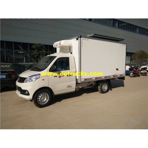 3m Foton Refrigerator Small Van Trucks