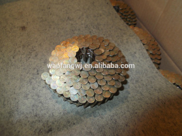 Galvanized Roofing Nails/Roofing Nails/Coil Roofing Nails