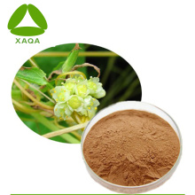 Improving Sexual Cuscuta Extract Powder 10:1