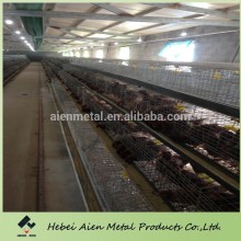 automatic broiler cage