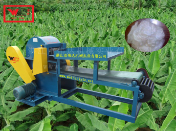 Banana coir sisal stem fiber extracting machine