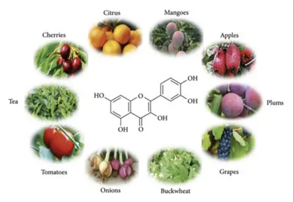 Quercetina en polvo para suplementos dietéticos Quercetin Powder for Dietary Supplements
