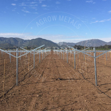 Vineyard Open Gable Systems