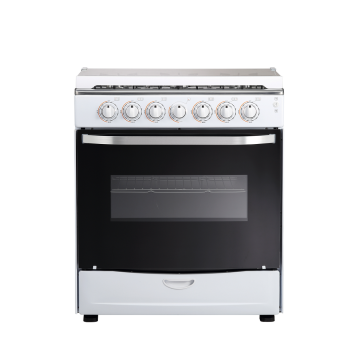 Stainless Steel Gas Oven 6-Burner