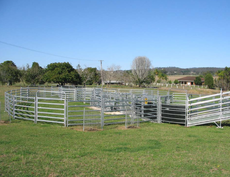 Livestock Cattle Curved Race Panels