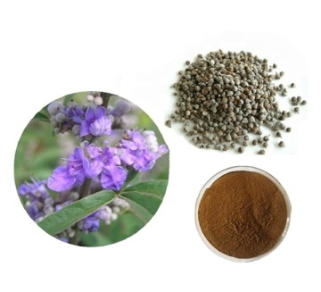 Agnus Castus Extract Powder Product Code:3681-93-4