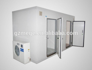 Combination cold storage container