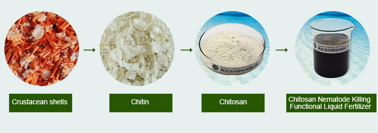 Chitosan Nematode Killing Functional Liquid Organic Fertilizer