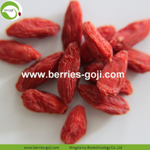 Factory Supply Fruits Bulk Mechanical Dried Goji Berry