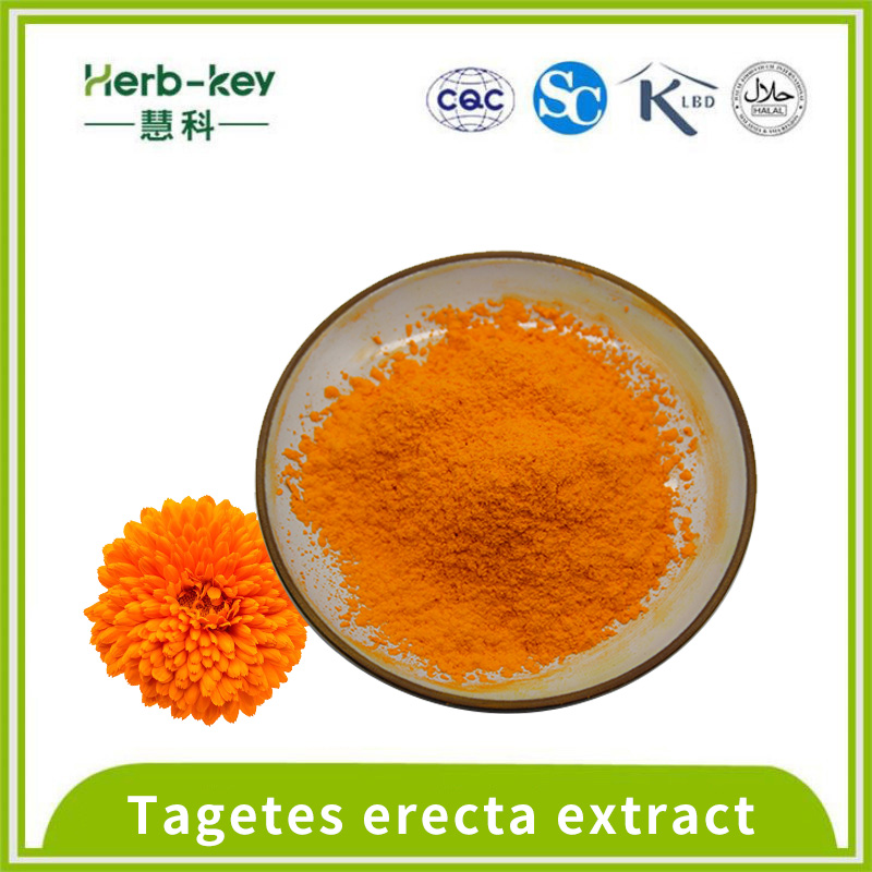 20% Tagetes erecta extract lutein powder