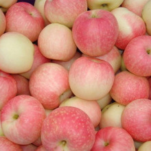 red gala apples chinese gala apples