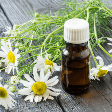 High Quality Natural Chamomile Essential Oil