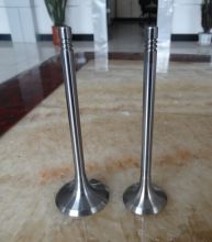 414TS Wartsila Marine Diesel Engine Parts Engine Valves