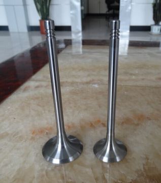 414TS Wartsila Marine Diesel Engine Parts Engine Valves