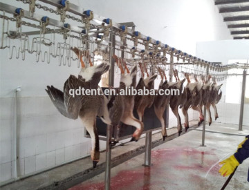 poultry farming poultry farms machine chicken