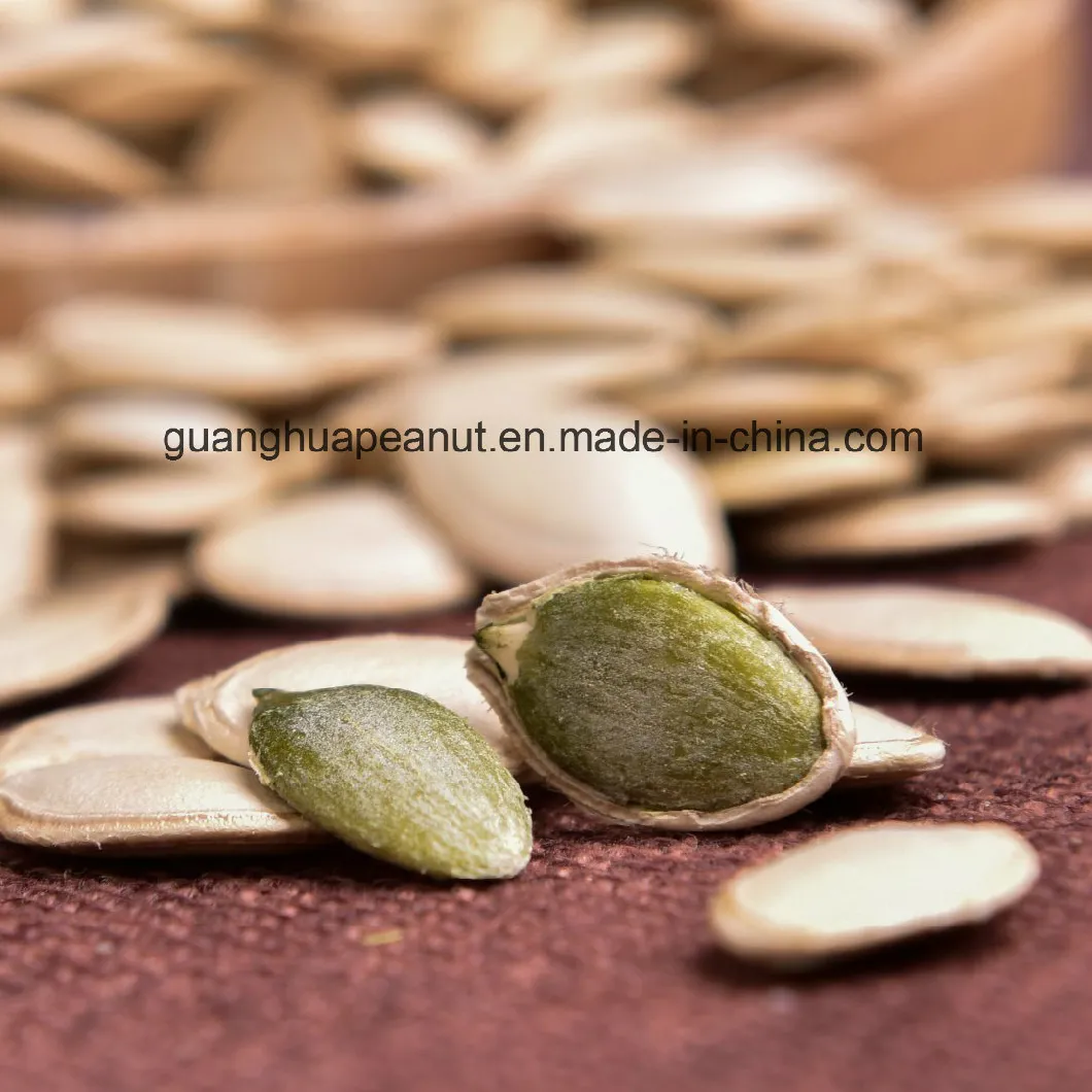 New Harvested Big Size Snow White Pumpkin Seeds