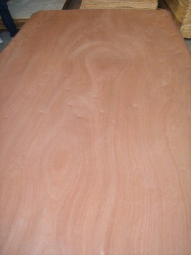 Rotary Cut Sapele Veneer