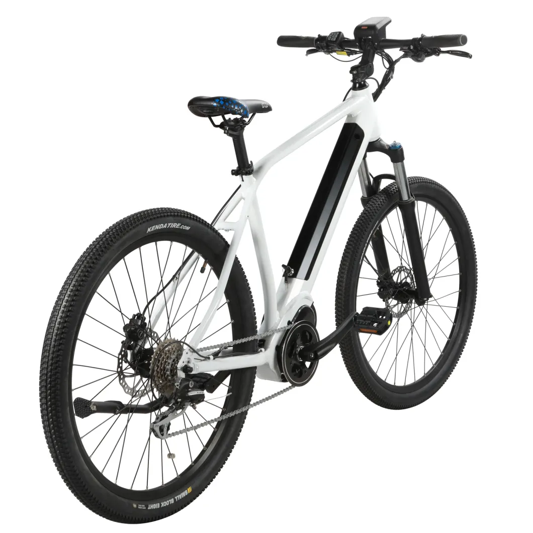 EU Quality MID Drive 350W E Bike Lithium Battery Electric Bicycle for Adult