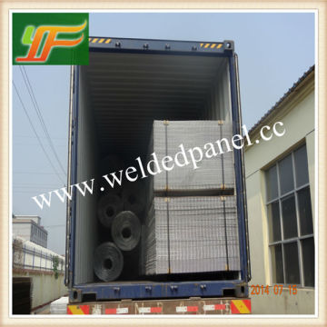 2x4 Galvanized Welded Wire Mesh Panel For Australia Market