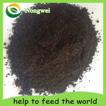 Organic Fertilizer for Potted Plants