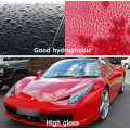 car paint protection ceramic coating